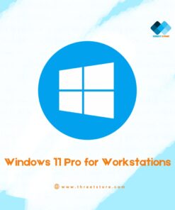 Windows 11 Pro for Workstations